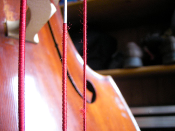 Jazz Kontrabass Stuttgart Niklas Deeg